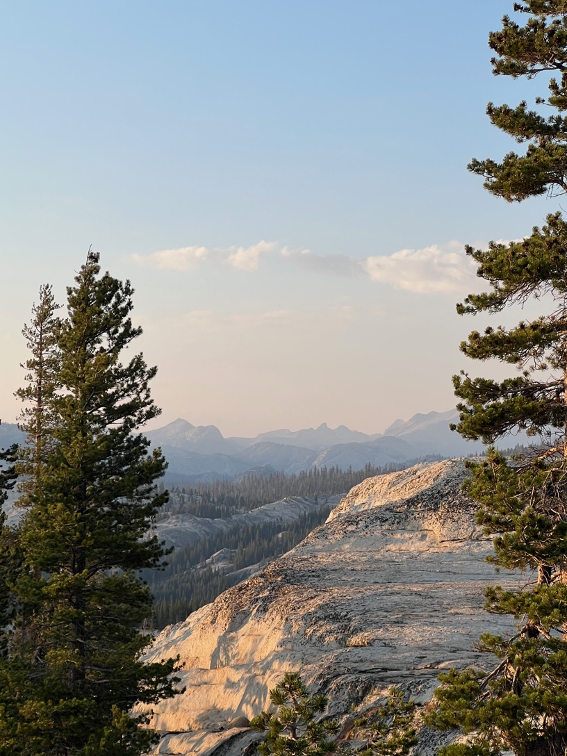 Granite domes and pines at dusk in Yosemite high country